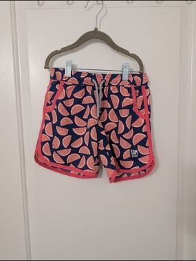 Tom & Teddy Navy and Pink Watermelon Print Kids Swim Trunks Matching Vacation